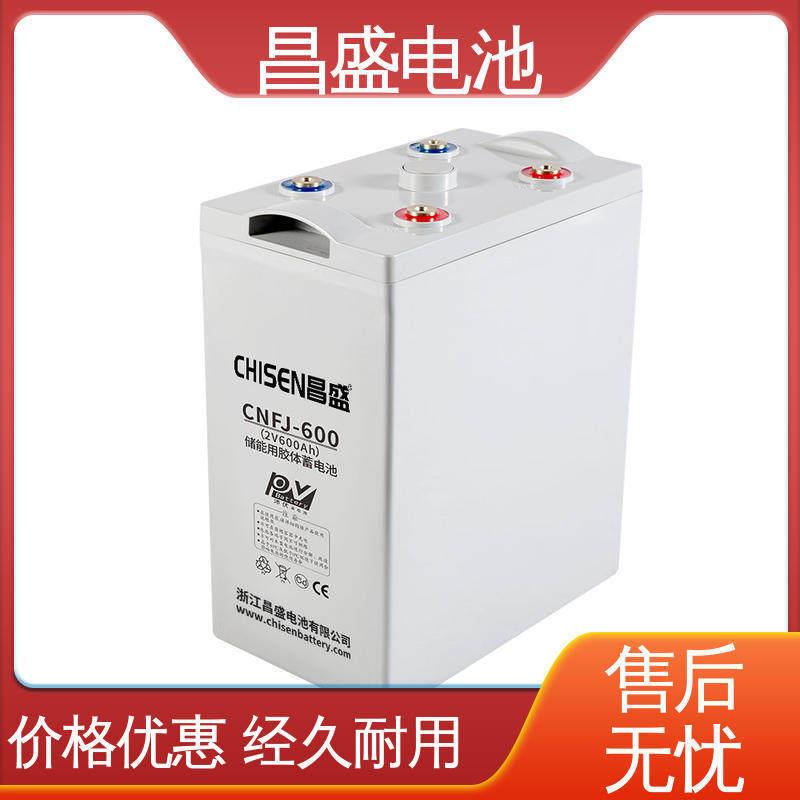 昌盛NF600统储CNFJ-600能电池系储能-电源储能电源太阳能C口碑好