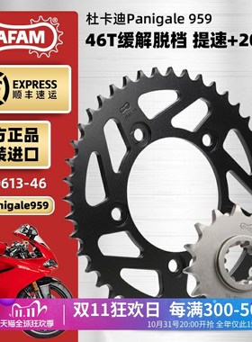 适用杜卡迪Panigale959大小链轮AFAM进口改装牙盘RK油封链条套装