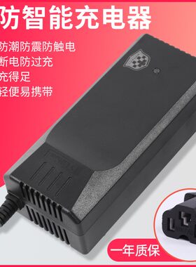 苏琪尔防雨防水电动车电瓶充电器48v12ah60v20ah72v三轮车通用款