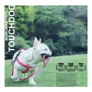 遛狗牵引绳狗链法斗巴哥柯基斗牛比格恶霸胸背大中小型犬狗绳背带