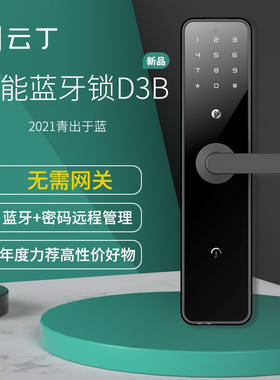 云丁D3B蛋壳公寓密码锁鹿客租住app出租民宿酒店电子智能锁防盗门