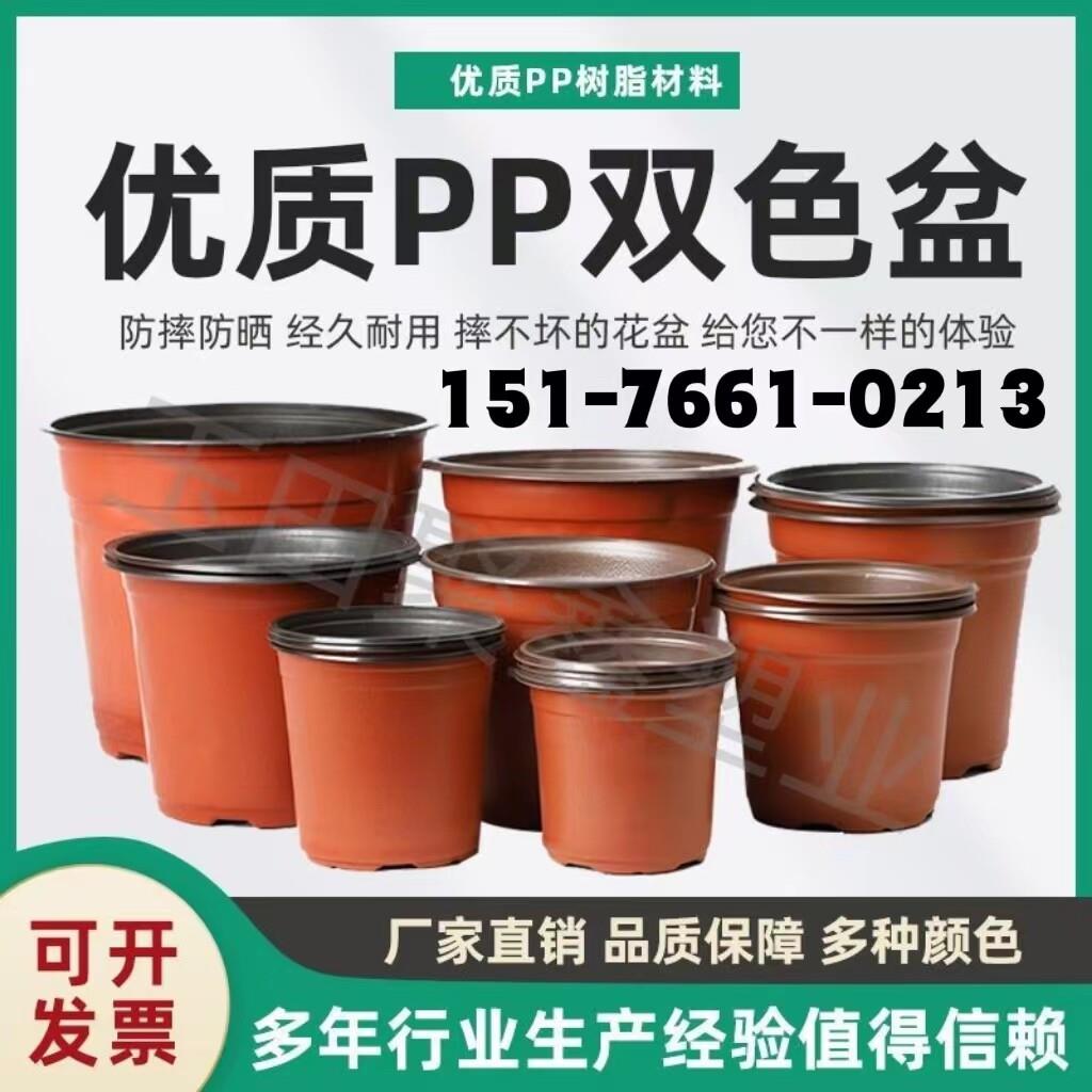 双色育苗花盆营养钵塑料种植一次性扦插加厚大号培养草莓花卉多肉