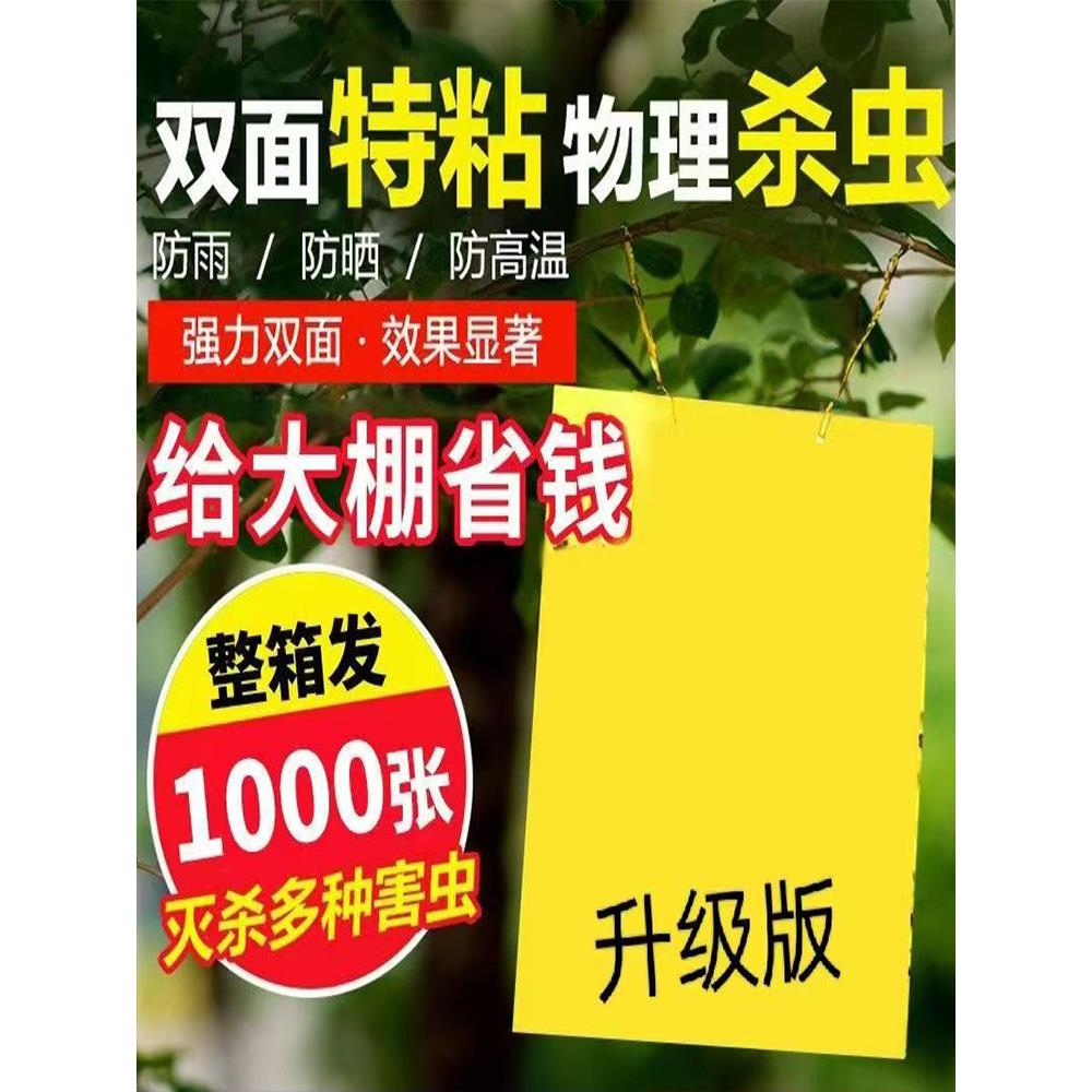 双面粘虫板大棚果树瓜菜园黄板沾小黑飞防虫贴纸蓟马蓝板诱虫板