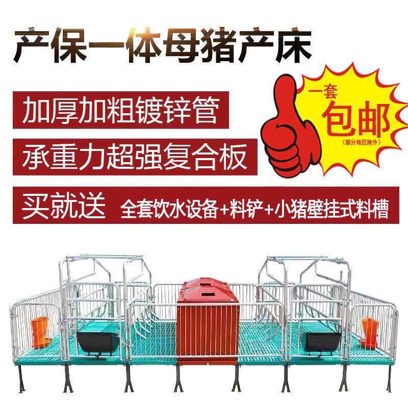 母猪产床猪产床 双体产保复合单体母猪定位栏保育床产床一体养猪