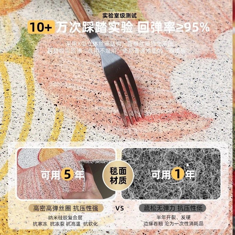入户门垫进门地垫高级感2025新款家用玄关小清新丝圈地垫耐脏防滑,居家布艺,入户地垫,淘宝优惠券,粉丝福利购,淘宝优惠卷