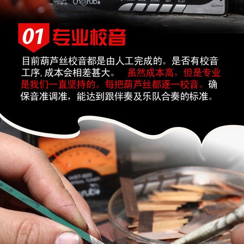 葫芦丝乐器小F/D/C调降B/A/G大F/E/D大c调儿童成人初学者专业演奏