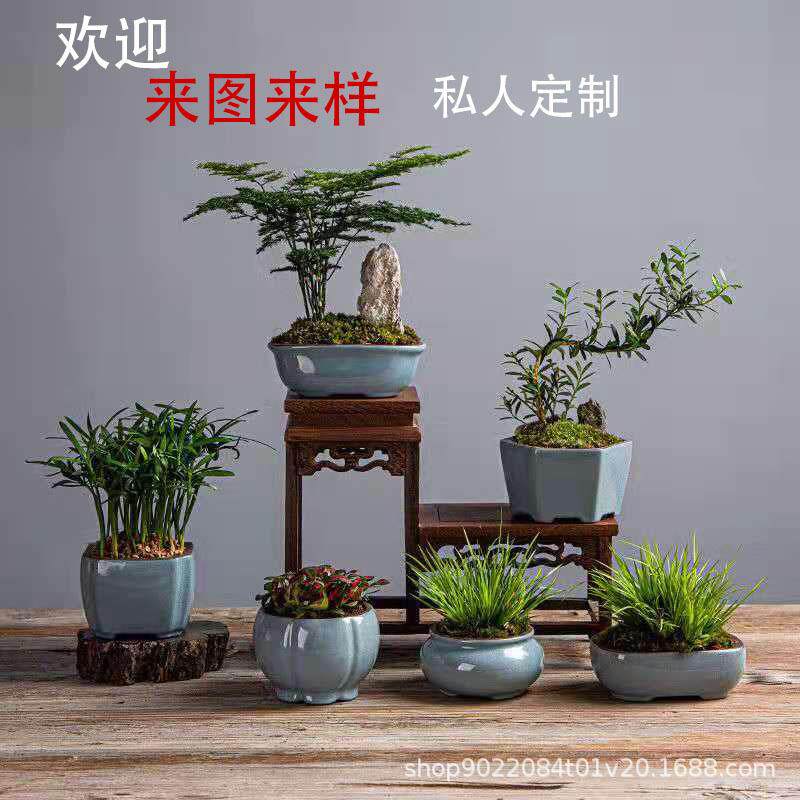 陶瓷紫砂花盆迷你小花盆多肉植物古典微型哥窑青瓷盆景菖蒲盆