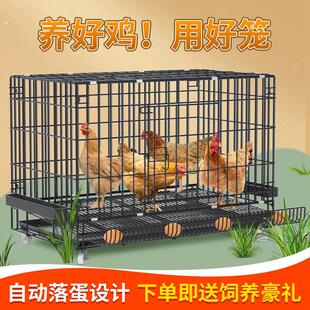 鸡笼子加粗大号家用养殖笼自动滚蛋折叠鸭笼狗笼鹅笼加固厂家直发
