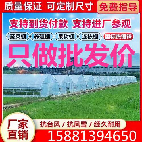 大棚钢管骨架温室大棚蔬菜大棚农业种植钢架热镀锌钢管养殖棚全套