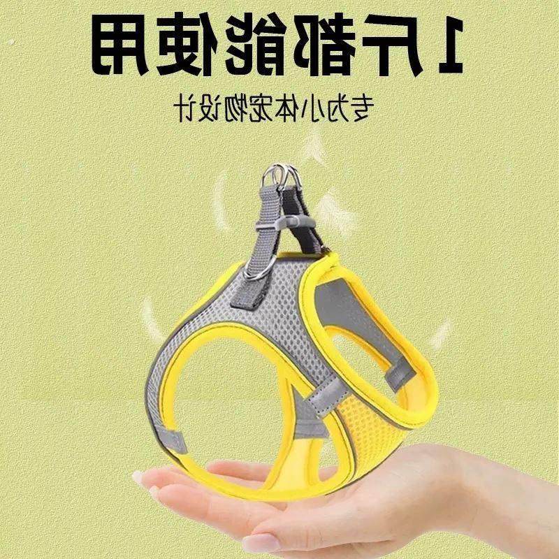 小体犬幼犬专用牵引绳超小体约克夏胸背茶杯犬1斤狗绳小鹿犬狗狗,宠物/宠物食品及用品,猫牵引绳,淘宝优惠券,粉丝福利购,淘宝优惠卷