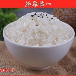 米饭仿真模型食品模型食物模型假菜道具拍戏道具表演拍摄道具