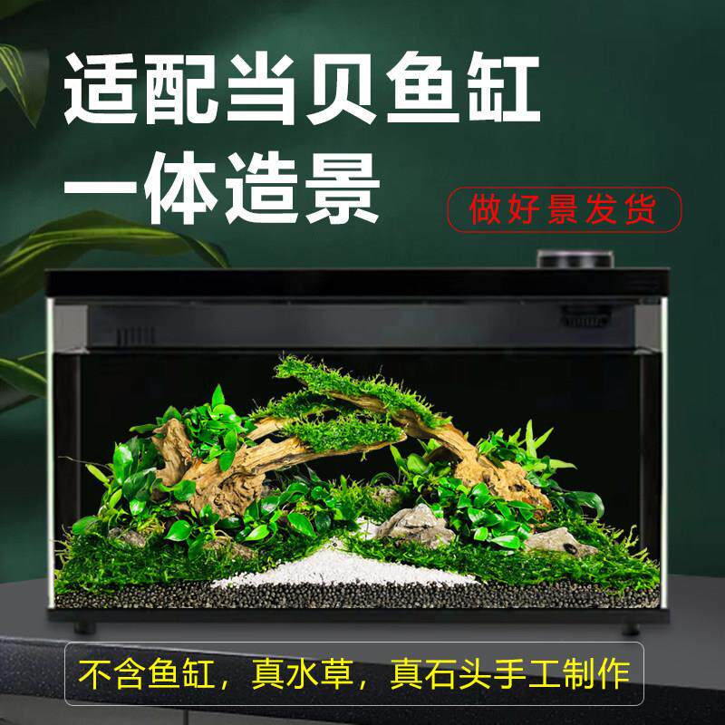 适配当贝智能鱼缸造景全套一体造景免种植做好景发货真水草景观