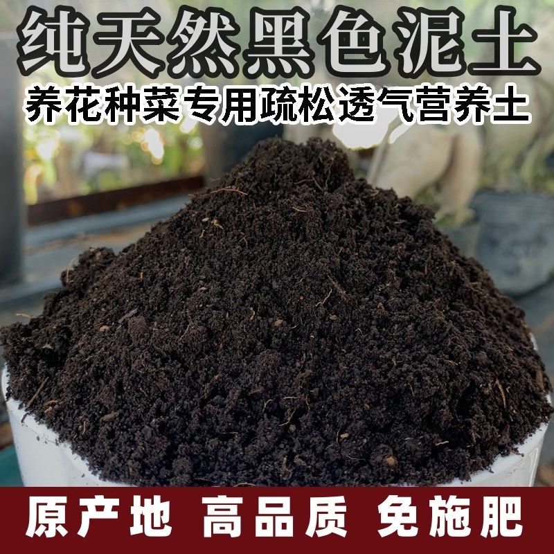 东北草碳土黑色泥土营养土果蔬种菜养花育苗种植通用黑泥土免施肥
