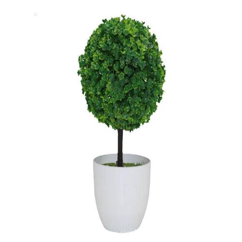 办公室工作站桌面绿色植物工作情绪稳定的神器客厅繁荣的房子植物
