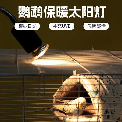 鹦鹉专用保温灯鸟笼子过冬天保暖灯加热虎皮牡丹取暖灯照明灯神器