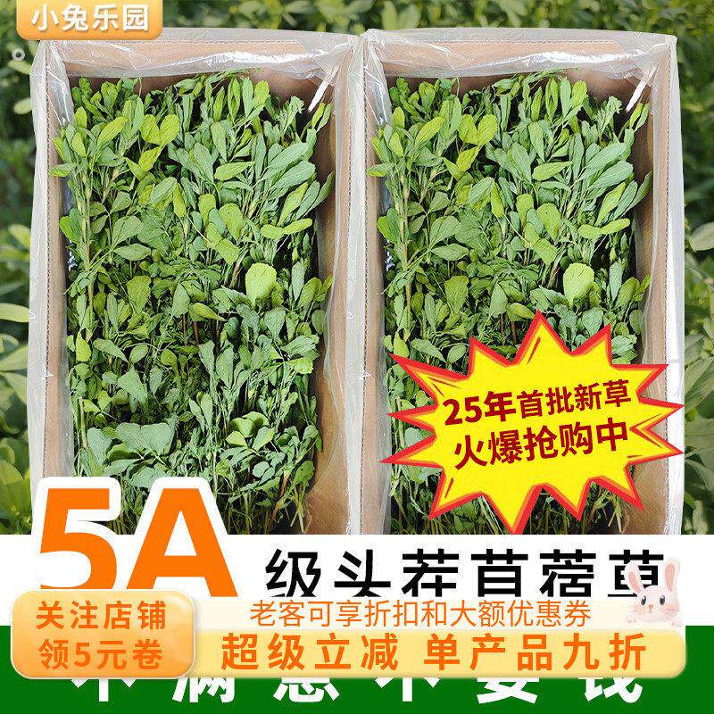 25年新苜蓿草兔子粮草苜蓿草食用草兔粮龙猫粮草干 干草荷兰猪苜