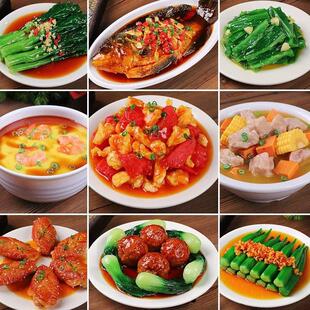餐饮菜品模型鸡爪展示品菜馍饺子定制炒菜饭红烧肉粤菜牛肉样品菜