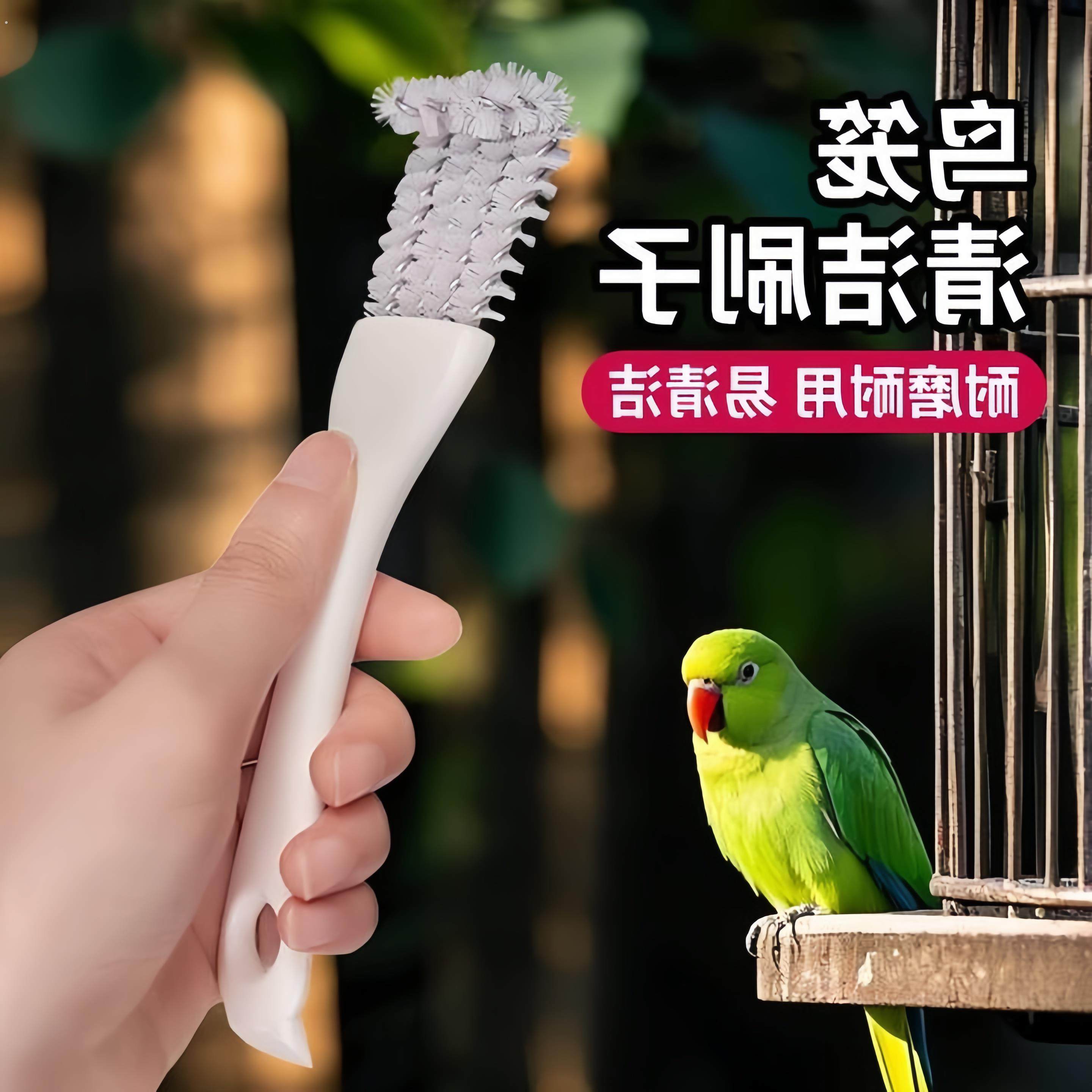 鸟笼清洁刷子鹦鹉笼清洗粪便铲砂多功能去垢清洁神器清理鸟笼用品,宠物/宠物食品及用品,鸟玩具,淘宝优惠券,粉丝福利购,淘宝优惠卷