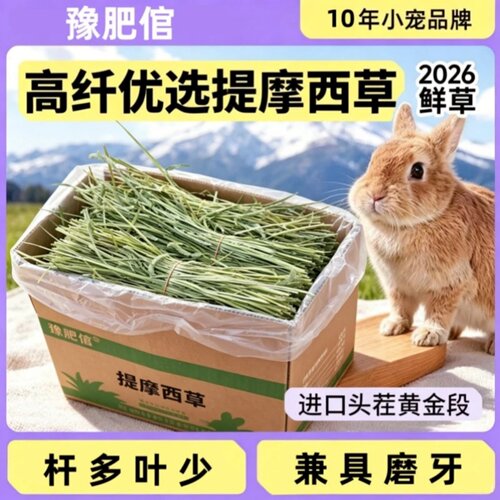 提摩西草兔用干草龙猫荷兰猪干草