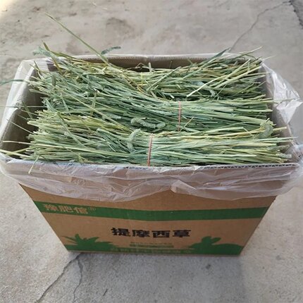 提摩西草烘干晒干提摩西草幼兔兔零食荷兰猪龙猫美国进口提草草段