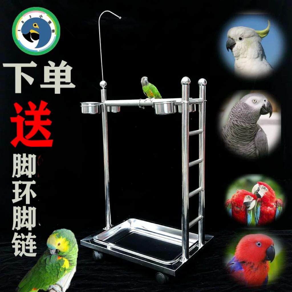 鹦鹉鸟架不锈钢站架鸟类架子宠物鸟栖息架观赏鸟架小鸟脚环脚链
