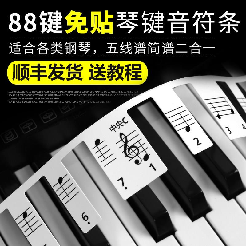 钢琴键盘贴88键免黏性贴纸电子琴简谱贴61键贴初学入门五线谱音符
