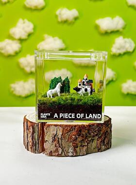 桌面草坪田园款 办公室苔藓微景观桌面绿植创意治愈系小清新礼物