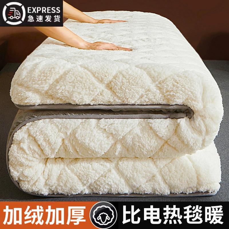 定制加厚羊羔绒床垫软垫席梦思儿童宿舍榻榻米垫褥子订做任意尺寸