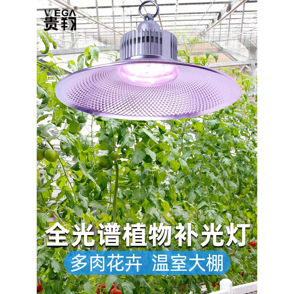 桂香全光谱彷日光灯日光蔬菜草莓花苗室内植物灯植物补光灯