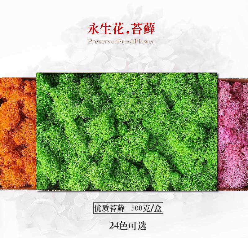 永生花花材 礼盒制作材料 保鲜花仿真花 永生苔藓墙体装饰