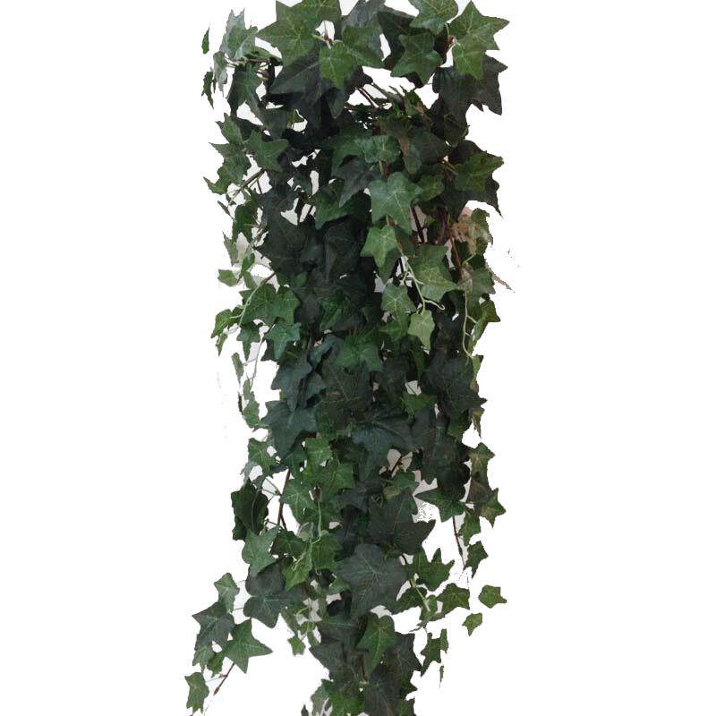 真把束壁挂常春藤叶子 番薯叶常青藤 客厅植物装饰植物藤条