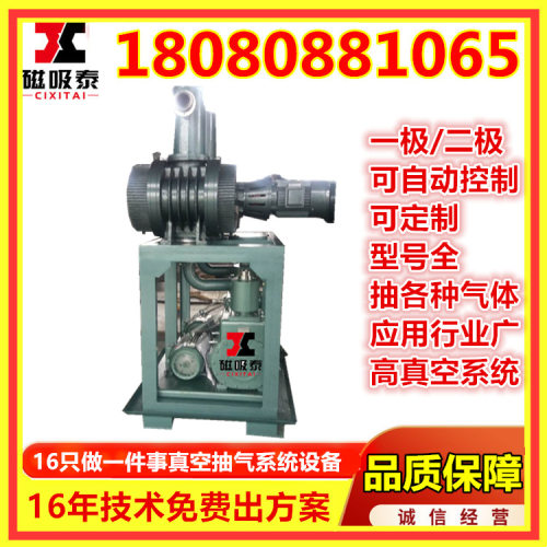 JZJX150-42真空机组ZJP150+30罗茨旋片式真空泵机组2x15真空抽气