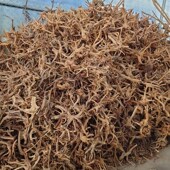 草缸造景莫斯树宠鱼缸网红鸡晒台装 沉木 饰树根树枝 栖根 杜鹃根