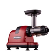 欧美爵士原汁机低速西芹榨汁机家用全自动果蔬多功能慢磨机