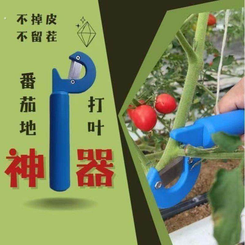 番茄辣椒茄子打叶神器黄瓜打叶刀1套刀架含6枚刀片等同6把刀,农机/农具/农膜,农用剪,淘宝优惠券,粉丝福利购,淘宝优惠卷