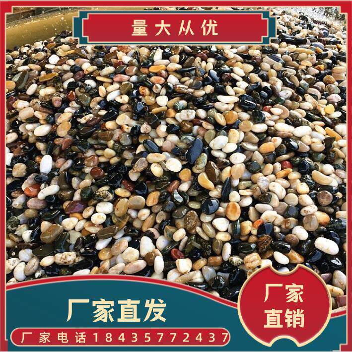 河北天然鹅卵石沼泽过滤石头地暖找平回填专用豆石水洗滤料水处理