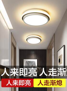 人体感应灯led走道灯走廊灯简约现代入户门厅灯楼梯间声控吸顶灯