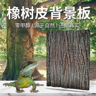 爬宠饲养箱3D立体造景板蜥蜴角蛙蜘蛛观赏蛇爬虫雨林pu树皮背景板