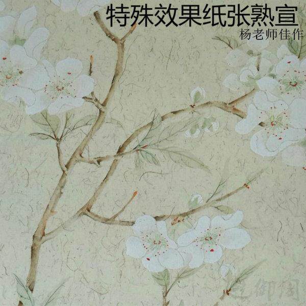 安徽宣纸精制手工四尺熟宣珠光花式矾宣 小楷工笔画 画/专用熟宣