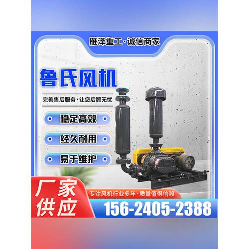 陆式三叶片罗茨鼓风机反冲洗真空泵负压氧化空军输送污水处理机