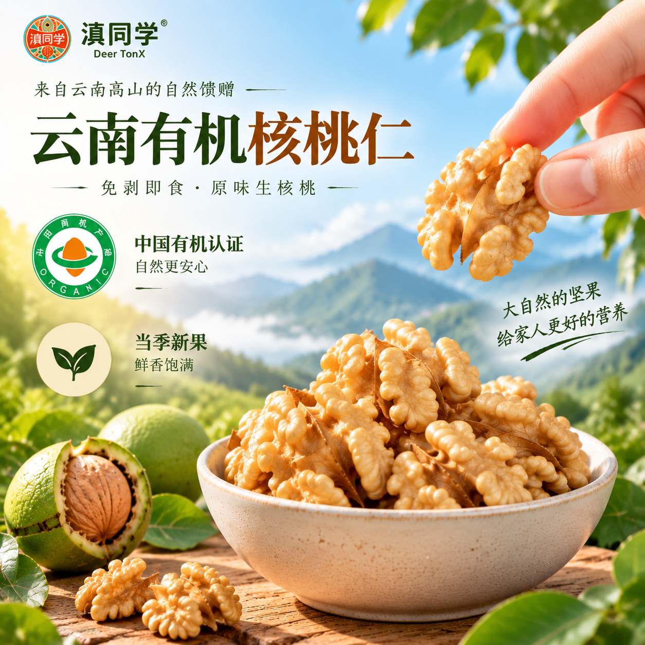 【滇同学】2026新货云南有机核桃仁去壳生原味孕妇坚果零食核桃肉