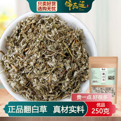正品翻白草500g干货整株泡水