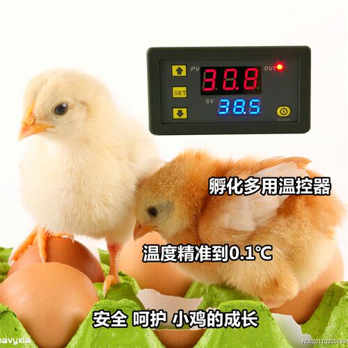 全自动水床孵化器小型家用鹦鹉鸭鹅鸽子小鸡孵化箱智能恒温孵蛋机