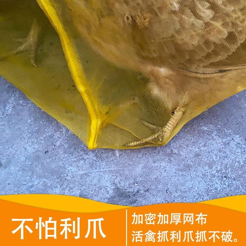 装活禽网兜装鸡鸭的网袋子纱网大号家禽塑料尼龙编织袋加密小网眼