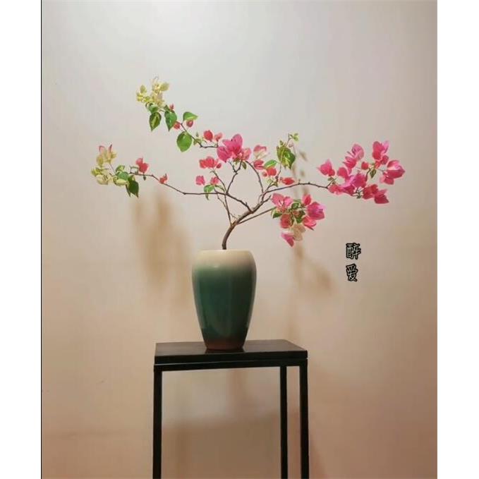 三角梅专用花盆适合种三角梅的老桩飘枝花盆透气打孔复古陶瓷37图片