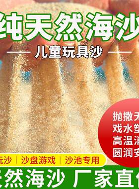 养蟹细海沙鱼缸水族箱造景底砂乌龟螃蟹寄居蟹铺底垫材天然细沙子