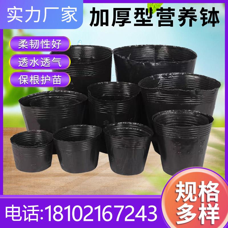 营养钵育苗盆一次性大号育苗专用营养杯育苗杯加厚营养杯袋育苗袋