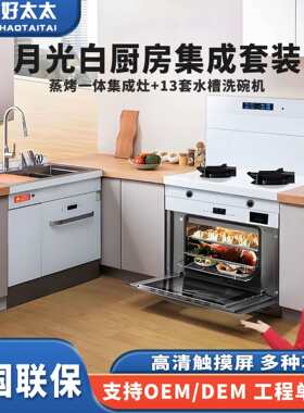 月光白厨房集成套餐家用式水槽洗碗消毒一体灶蒸烤一体式洗碗机