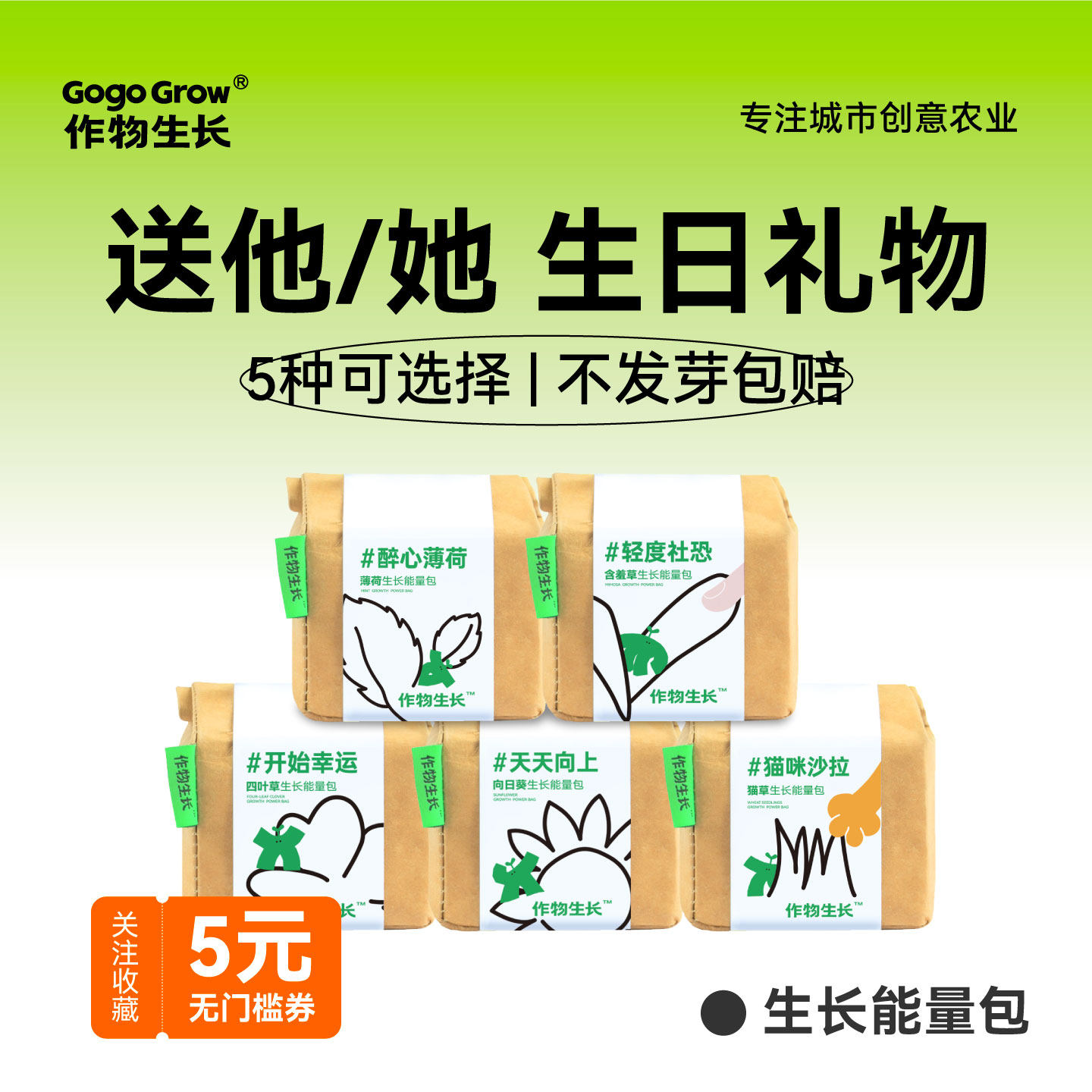 作物生长种植盆栽套装薄荷幸运草ins风桌面绿植创意diy生日礼物