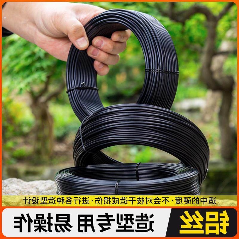 盆景造型用软铝线盆景制作专用蟠扎铝丝扎丝定型铝丝线黑铝条园艺,鲜花速递/花卉仿真/绿植园艺,其它园艺用品,淘宝优惠券,粉丝福利购,淘宝优惠卷